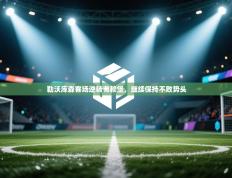 勒沃库森客场逆转弗赖堡，继续保持不败势头