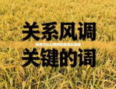 新西兰队以胜利回敬观众期望