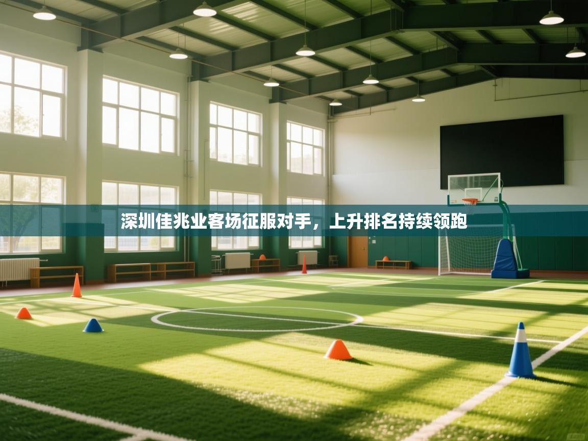 深圳佳兆业客场征服对手,上升排名持续领跑 第2张